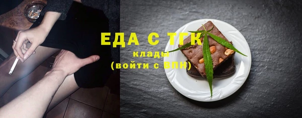 индика Протвино