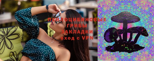 ГАЛЛЮЦИНОГЕННЫЕ ГРИБЫ Армянск