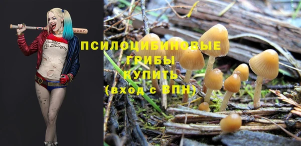МДМА Арсеньев