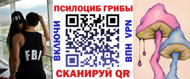 Псилоцибиновые грибы Psilocybe  Обоянь 